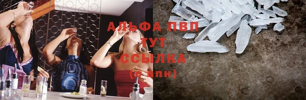 эйфоретик Богданович