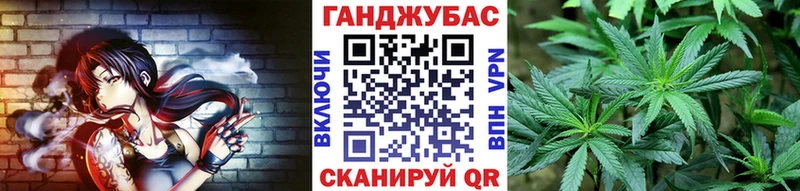 Конопля гибрид Фёдоровский